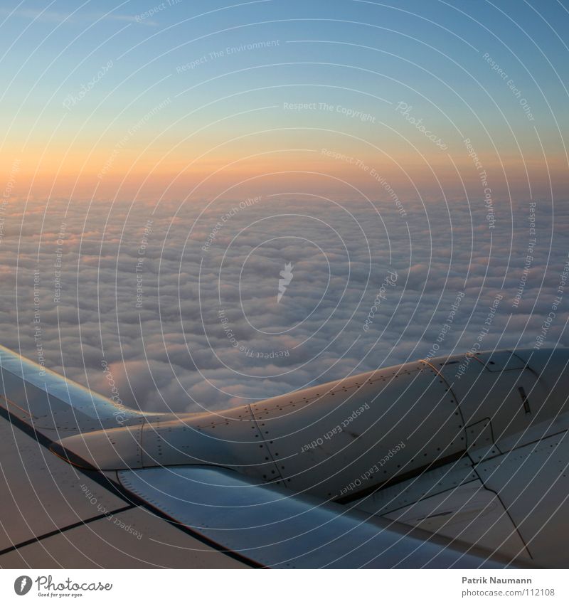 off to the south I Airplane Above the clouds Clouds Sunrise Cold Technical Sky Covers (Construction) Sunset Harmonious Flying sea of clouds Tall Blue Technology