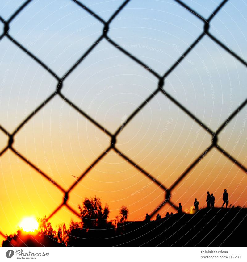 zaungast Summer Sun Good mood Sunset Romance Contentment Fence Wire netting Remote Loop Hill Human being Bird Tree Red Black Joy