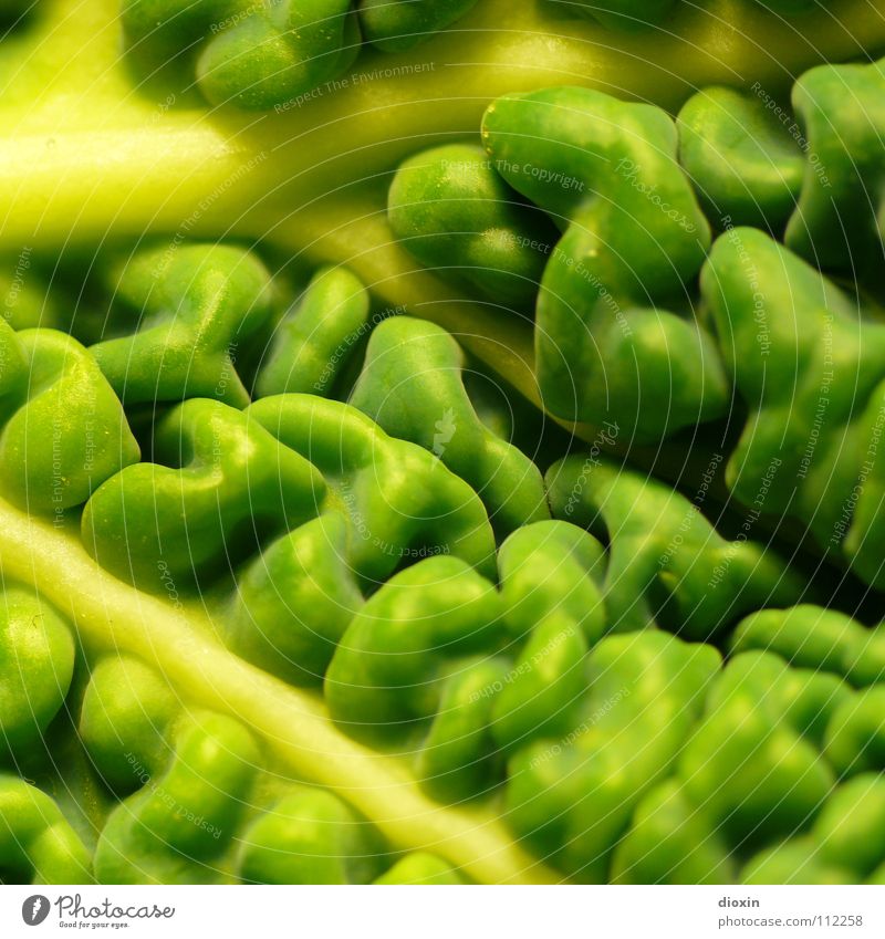 Brassica Oleracea Colour photo Close-up Detail Macro (Extreme close-up) Pattern Structures and shapes Deserted Food Vegetable Nutrition Organic produce