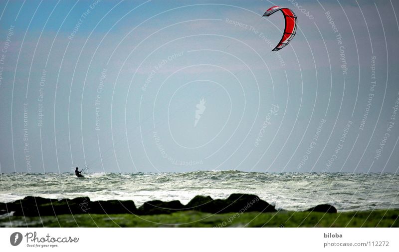 Kitesurfing at the North Sea Kiting Leisure and hobbies Vacation & Travel Aquatics Sailing Adventure Speed Ocean Belgium Sports Playing Beach Coast Europe fun