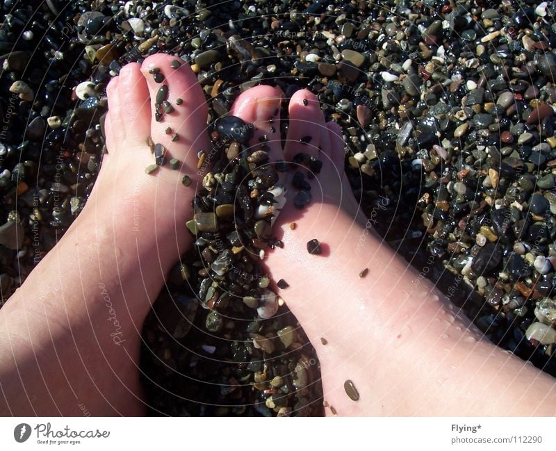 gravelly Toes Gravel Wet Damp Cold Gray Stone Bury Nail Beach Ocean Coast Minerals Earth Sand Feet horrid big toe Skin foot skin Pedicure wet skin Barefoot