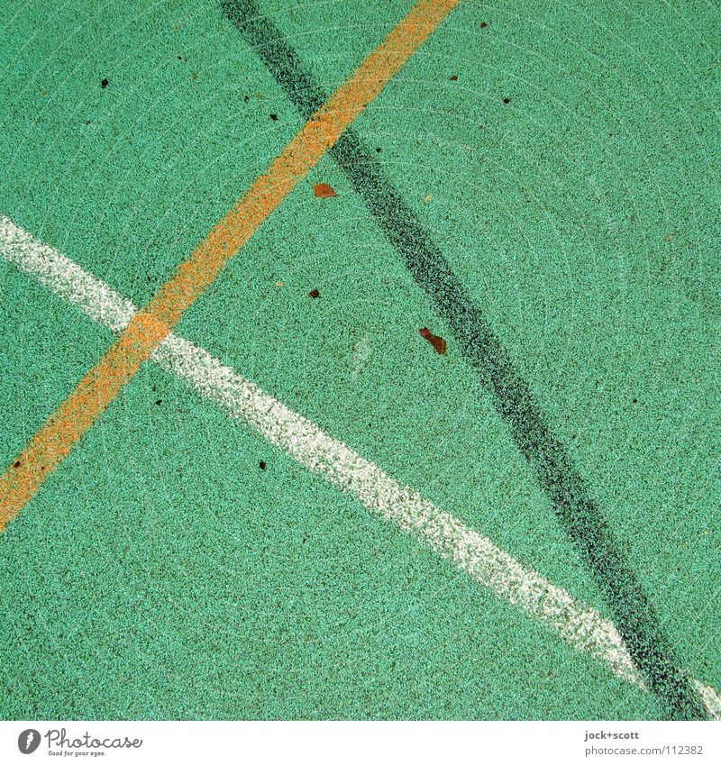 VfL Line Cross Playing field Meeting point Second-hand Line width Surface Floor covering Curve Axle Ground Date Arch Detail Abstract Structures and shapes