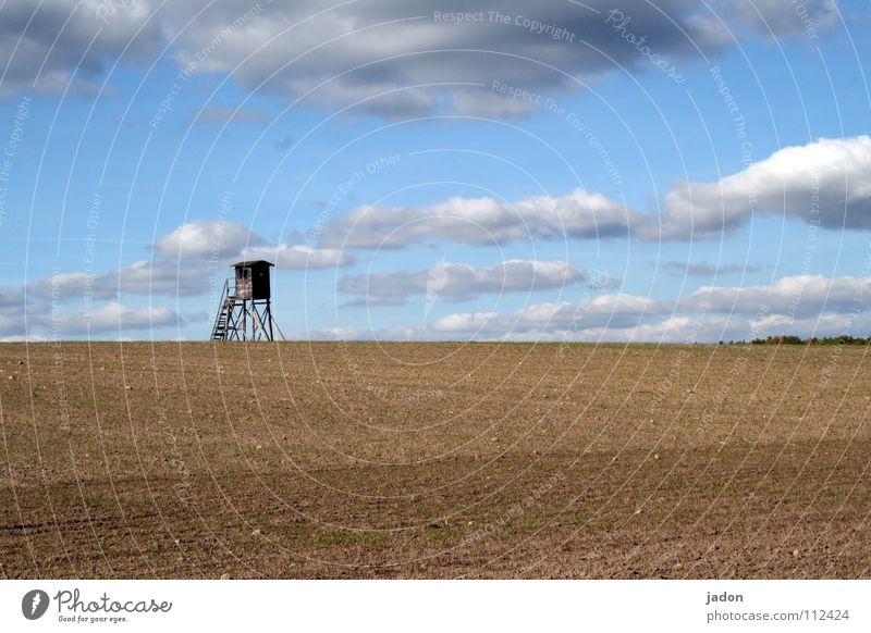 Strategic point Vantage point Hunting Blind Meadow Field Clouds Loneliness White Horizon Calm Background picture Brandenburg Flat (apartment) Room Minimal Sky