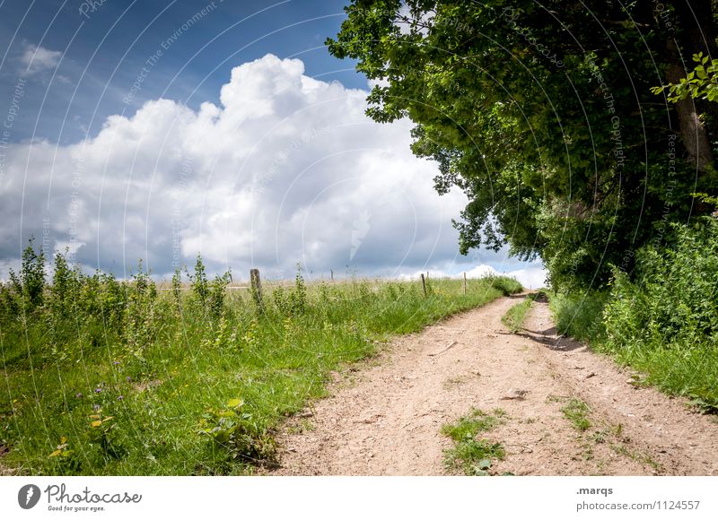 trip Trip Summer Hiking Environment Nature Landscape Sky Clouds Horizon Beautiful weather Plant Tree Lanes & trails Relaxation Simple Moody Colour photo
