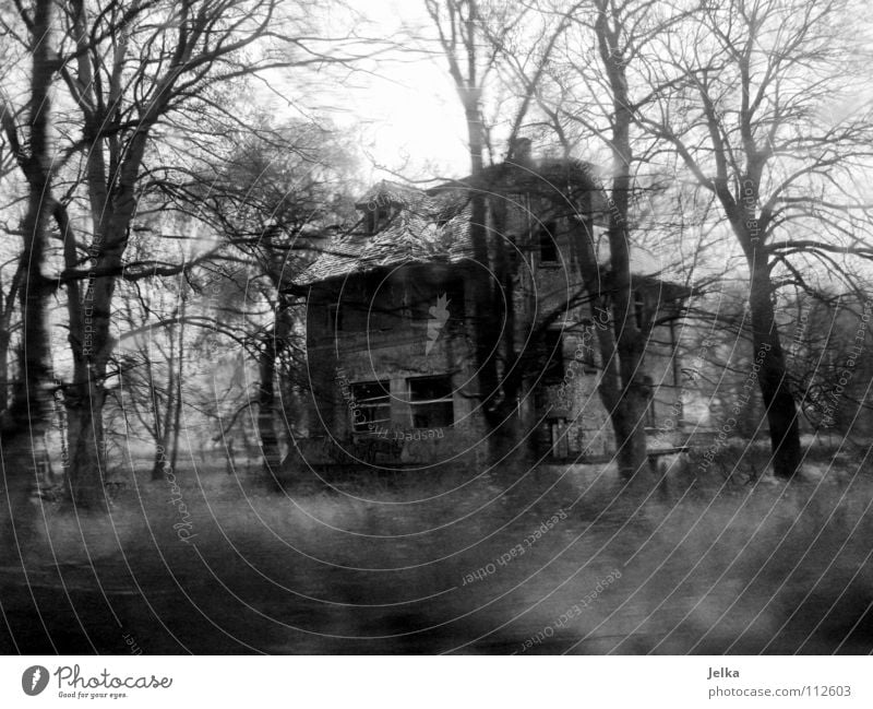 scrapped Winter House (Residential Structure) Fog Rain Tree Forest Building Architecture Dark Creepy Cold Loneliness Decline Shabby Leipzig Edge of the forest