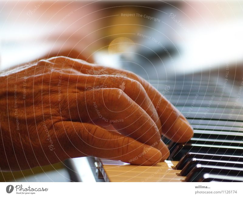 Hand of a senior plays piano Music Man Male senior Piano Keyboard Old Organ Keyboard instrument Chord Human being twilight years