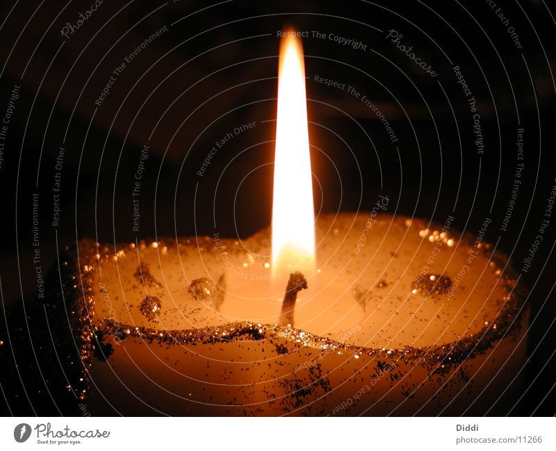 candle Candle Awareness Photographic technology Light (Natural Phenomenon) Glittering
