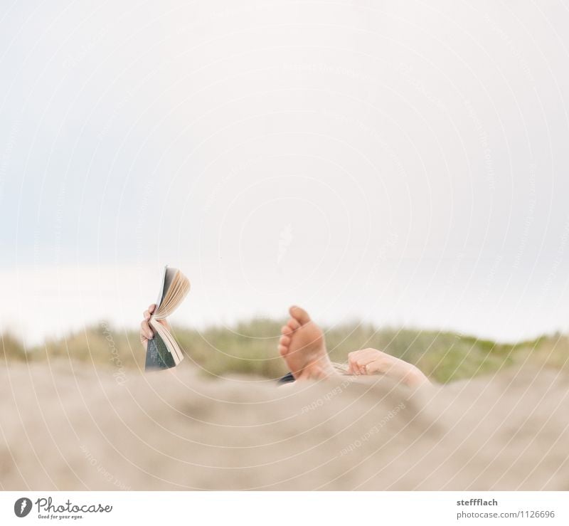 Harvest holidays Human being Feminine Woman Adults Fingers Feet 1 18 - 30 years Youth (Young adults) Book Reading Landscape Sand Sky Sunlight Summer