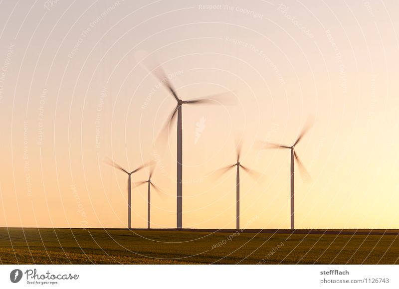 Evening Wind Agriculture Forestry Industry Energy industry Technology Advancement Future Renewable energy Wind energy plant Energy crisis Landscape Earth Air