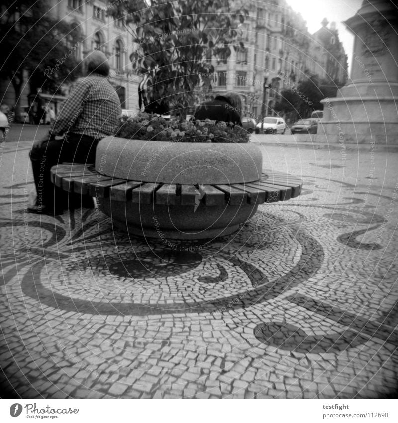 rest Relaxation Seating Town Park bench Plant Round Pattern Calm Free Longing Wanderlust Homesickness Vacation & Travel Home country Foreign