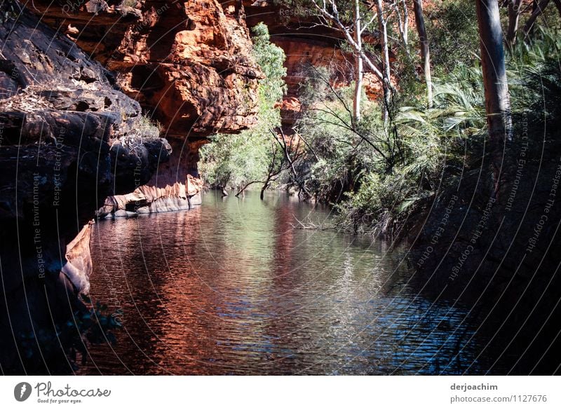 All year round water bearing billabongs overhanging several red rocks. Framed by bushes. The tourist destination in the Red Centre- Garden of Eden.Kings Canyon. Outback Northern Territory. Australia.