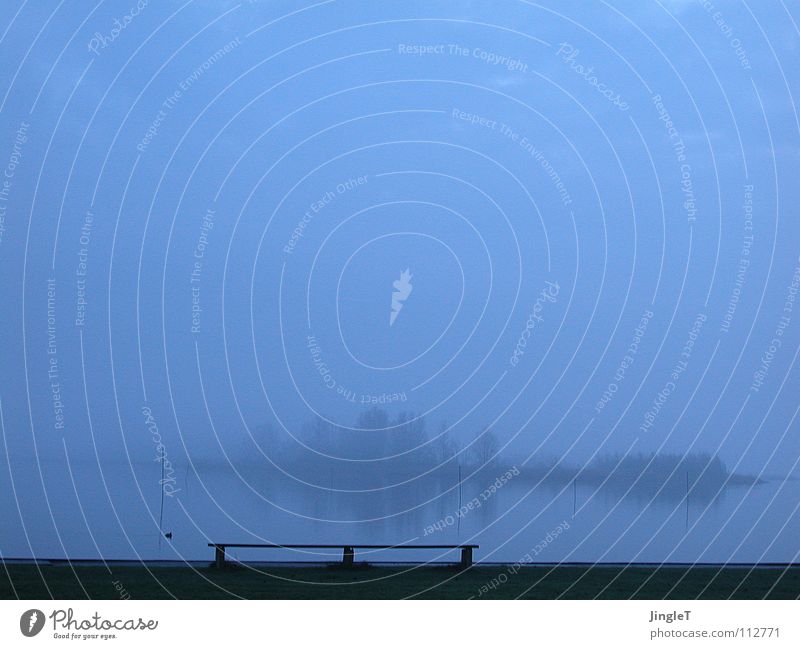 Blue hour Clouds Bad weather Fog Lake Ocean Heeg Lake Heegermeer Tree Clump of trees Edge Target Promontory Calm Serene Relaxation Twilight Blue sky Sky Water