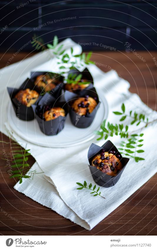 muffin Cake Dessert Candy Muffin Nutrition Finger food Delicious Sweet Colour photo Interior shot Deserted Day Shallow depth of field
