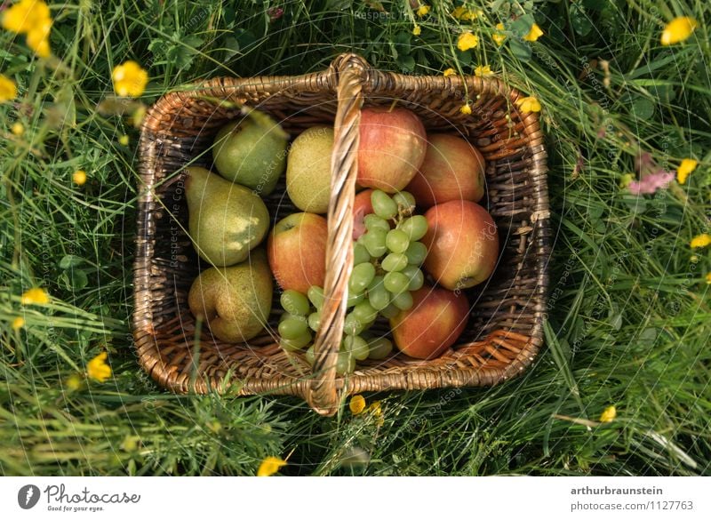 Fruit basket in the meadow Apple Bunch of grapes Pear Nutrition Picnic Organic produce Vegetarian diet Slow food Shopping Healthy Eating Trip Summer Sun Garden