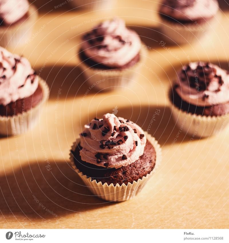 Raspberry Chocolate Cupcakes Food Cake Dessert Candy Nutrition To have a coffee Cook Kitchen Delicious Sweet Muffin Cream Bakery shop Colour photo Interior shot