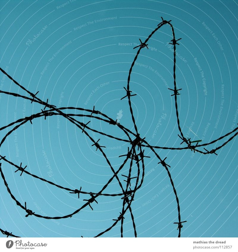 barbed wire Wire Barbed wire Rolled Round Muddled Traffic infrastructure Fear Panic Thorn Protection Defensive Point Curve Rotate aggro aggressive Sky Blue