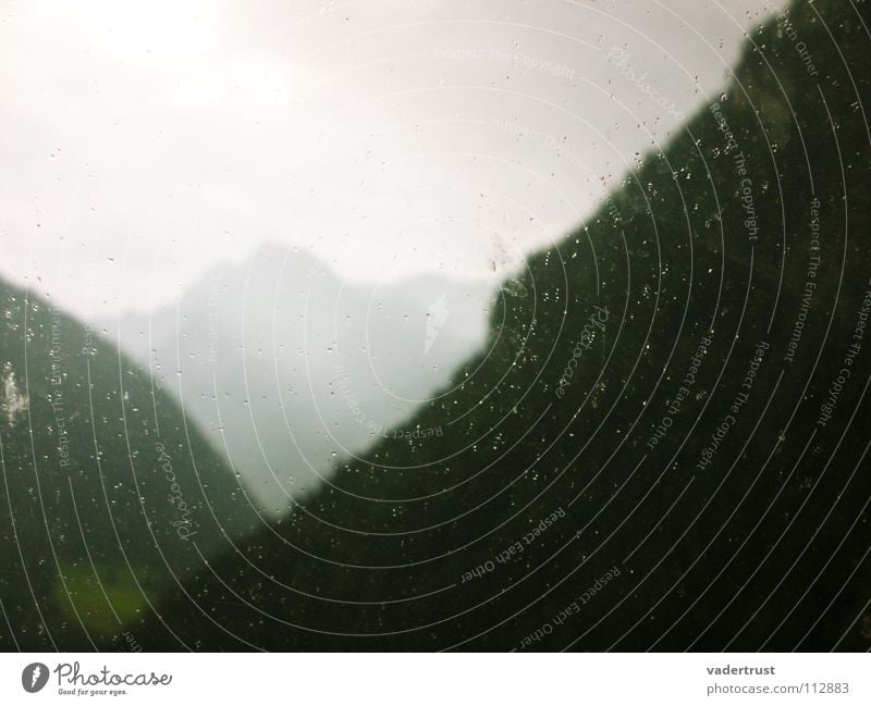 rainforest Forest Green Gray Mystic Tree Panorama (View) Rain Summer Clouds Hiking Mountain Alps Sun Germany Far-off places Perspective Rope Steam