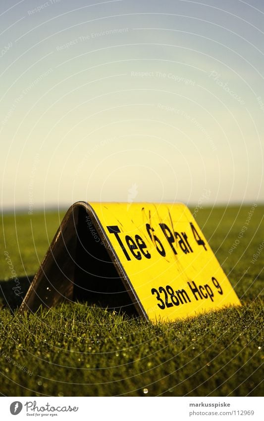 tee Field Golf ball Golf course Grass Green Sky Sunrise Tee off Ball sports Academic studies Ace pitch Lawn Sports Tea Arrest Hollow PAR range Fairy green fee