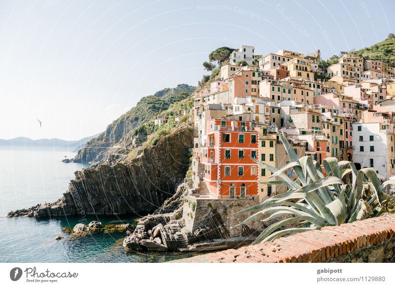 CINQUE TERRE Contentment Senses Relaxation Vacation & Travel Tourism Trip Adventure Far-off places Sightseeing City trip Cruise Summer Summer vacation Sun