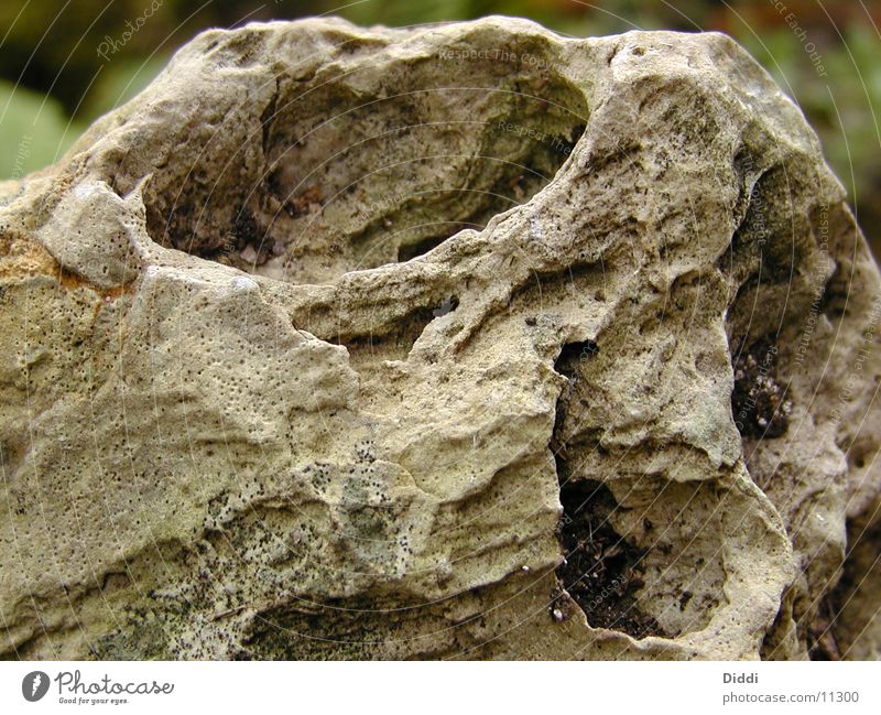 eye of the stone Stone Rock