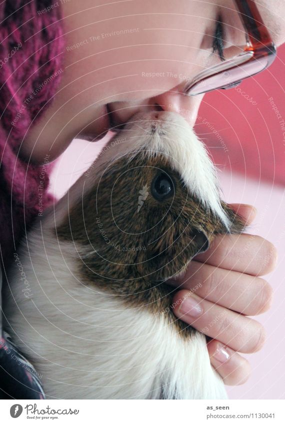 guinea pig love Youth (Young adults) Face 1 Human being 13 - 18 years Child Animal Pet Animal face Pelt Petting zoo Guinea pig Animal portrait Eyes Snout