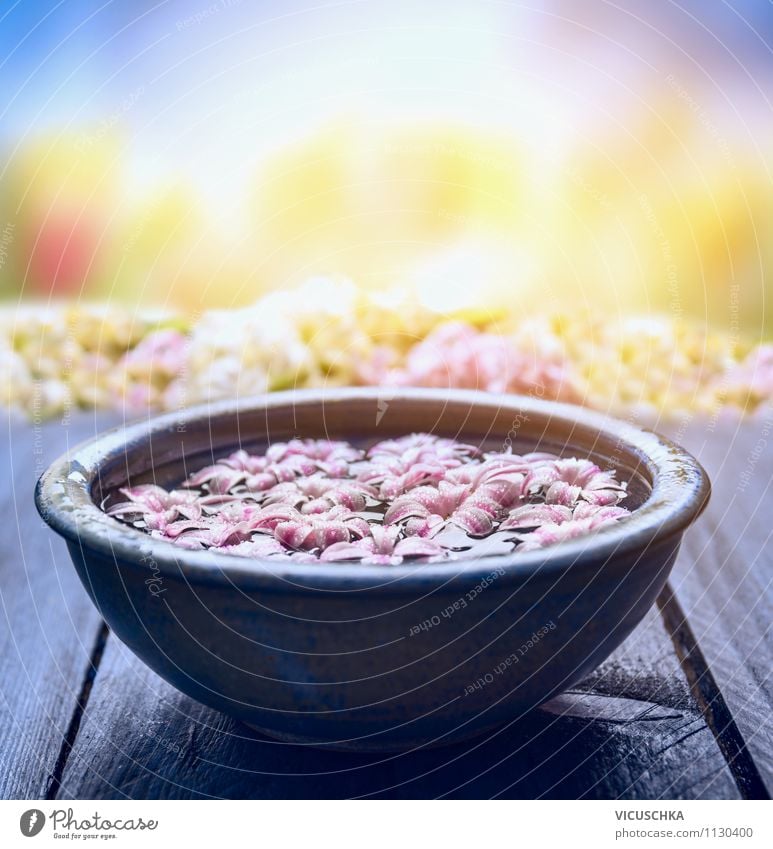 Blue bowl with flowers and water Lifestyle Style Design Exotic Beautiful Personal hygiene Healthy Alternative medicine Wellness Relaxation Meditation Spa Summer