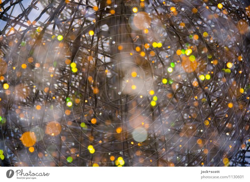 Meeting points Light points Christmas fairy lights Point Illuminate Double exposure Play of colours Visual spectacle Background picture Abstract Low-key bokeh