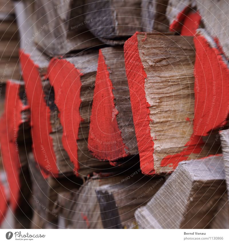 red area Nature Tree Brown Gray Red Firewood Fuel Wood Stack Supply Label Weathered Warm period Wood grain share Colour Varnish Colour photo Exterior shot