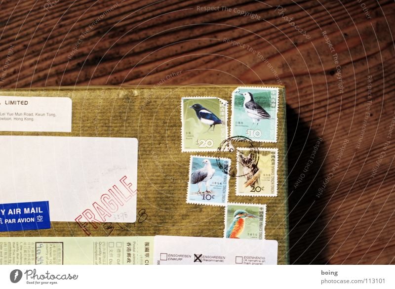 The sea eagle has brought it Gift Package Logistics Letter (Mail) Stamp Bird Airmail Carton Wrapping paper Jay Sender Addressee Surprise Delivery postage stamps