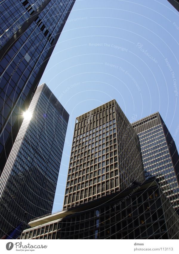 look up House (Residential Structure) High-rise Building Facade Steel Sunrise New York City Town Canyon Architecture Corner Front side Glass Shadow Reflection