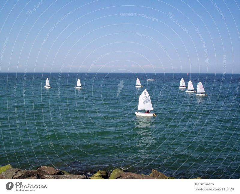 sailboats Watercraft Small Regatta Multiple Ocean Coast Sailboat White Vacation & Travel Well-being Exterior shot Sporting event Competition Beach
