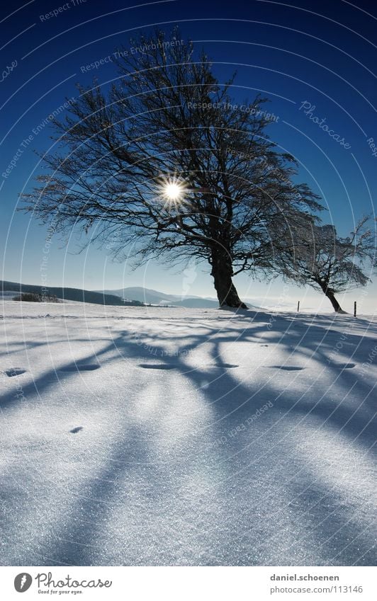 Christmas card 13 Sunbeam Winter Black Forest White Deep snow Hiking Leisure and hobbies Vacation & Travel Background picture Tree Snowscape Horizon Loneliness