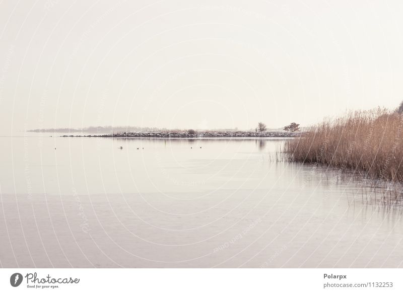 Idyllic lake scenery Beautiful Calm Sun Ocean Winter Nature Landscape Sky Clouds Horizon Autumn Fog Leaf Coast Lake River Stone Natural Colour Peace reed