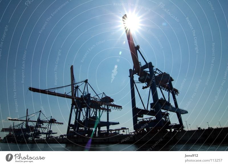 Blinding cranes Crane Dockside crane Black Back-light Dazzle Sunbeam Harbour Services Hamburg Sky Blue Shadow flare Lens flare Lighting Water Elbe launch tour