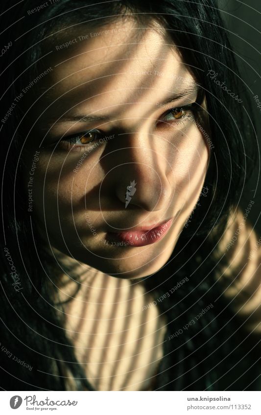 shadow Young woman Youth (Young adults) Woman Adults Piercing Black-haired Line Brown eyes Light Shadow Sunlight Portrait photograph Face Copy Space bottom