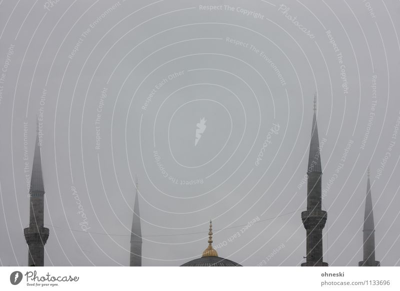 Blue mosque in grey IV Bad weather Fog Istanbul Mosque Blue Mosque House of worship Minaret Tourist Attraction Point Gray Religion and faith Dreary Colour photo
