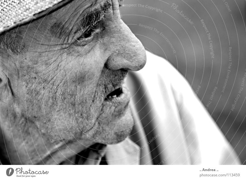 Stone (grey) old Grandfather Senior citizen Old Gray as old as the hills grandpa great-grandfather Wrinkles Black & white photo