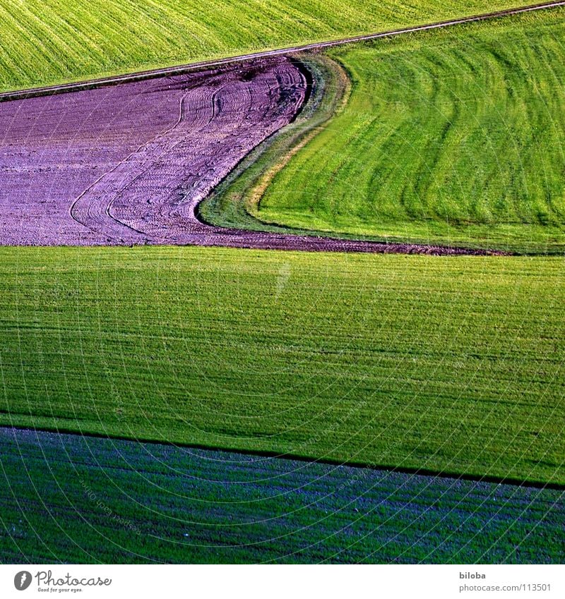 Art of farming Pattern Plow Plowed Sprout Plantlet Back-light Shadow Autumn Food Agriculture Sowing Occur Green Fresh Life Field Product Waves