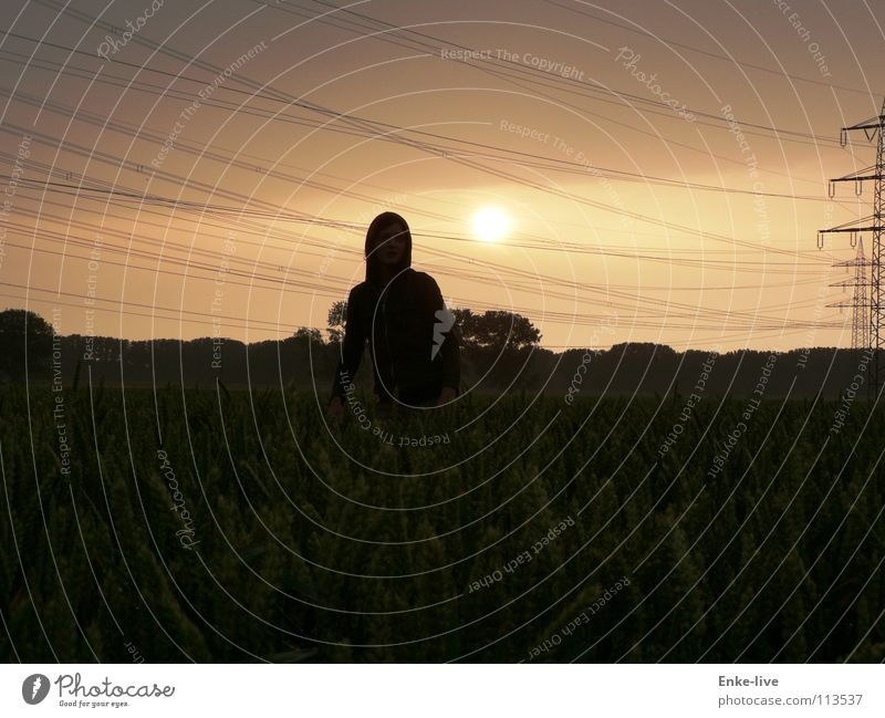 evening mood Dusk Sunset Field Cornfield Woman Loneliness Electricity Electricity pylon Horizon Black Tree Bushes Clouds Summer Transport Grain Cable Free