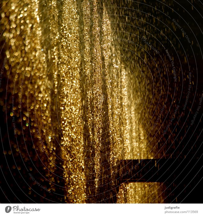 shower of gold Salt works Light Spray Wet Saltworks Blackthorn Cure Evening sun Glittering New Year's Eve Healthy Colour Beautiful Water Drops of water Gold