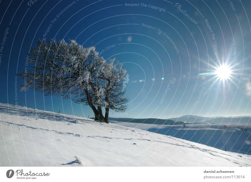 Christmas card 15 Sunbeam Winter Black Forest White Deep snow Hiking Leisure and hobbies Vacation & Travel Background picture Tree Snowscape Horizon Loneliness