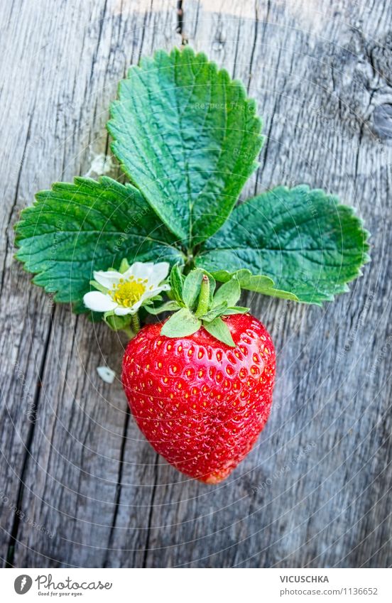 Fresh strawberry with leaves and flowers Food Fruit Dessert Nutrition Breakfast Organic produce Vegetarian diet Diet Lifestyle Style Design Healthy Eating
