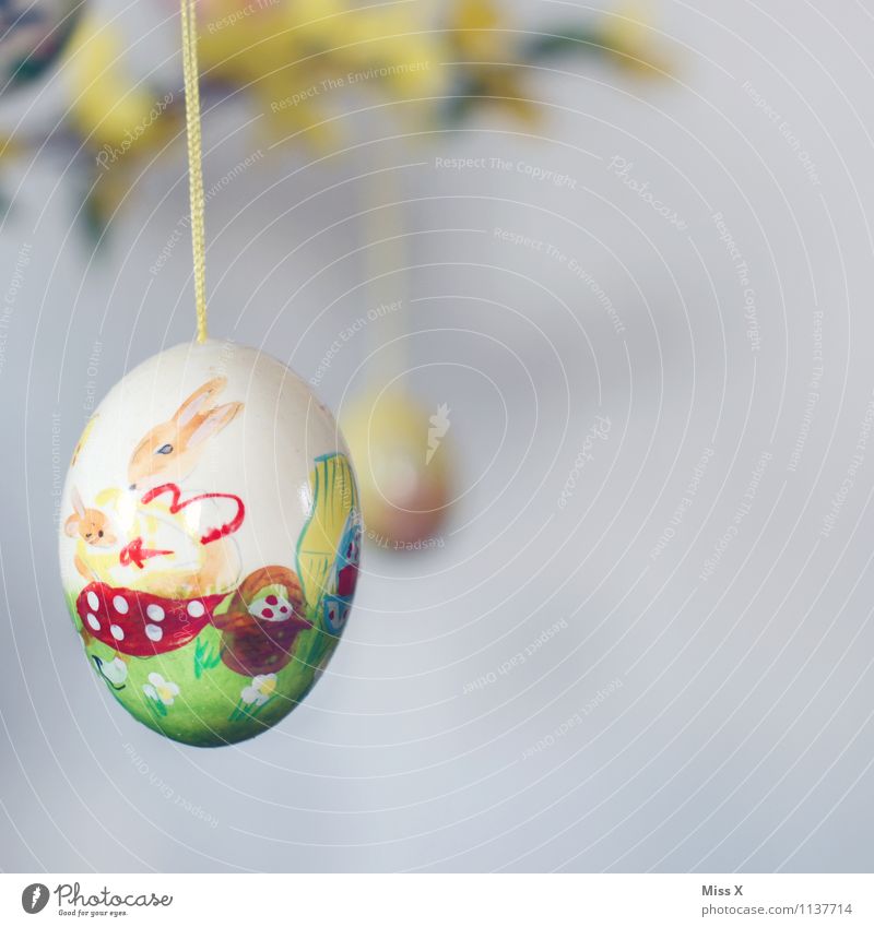 hasi Handicraft Decoration Easter Kitsch Odds and ends Draw Colour Easter Bunny Easter egg Painted Hen's egg Hang Colour photo Multicoloured Interior shot