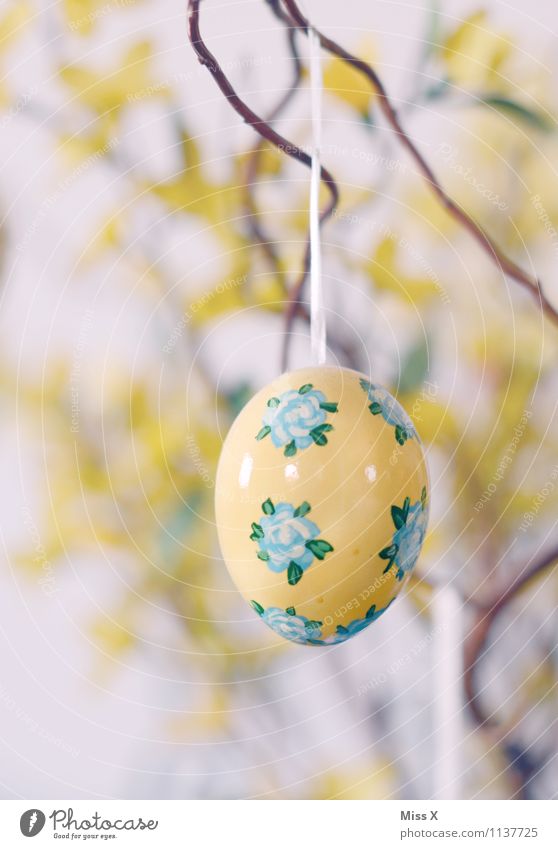 country painting Decoration Easter Kitsch Odds and ends Collector's item Hang Yellow Easter egg Branch Hen's egg Flowery pattern Painted Colour photo