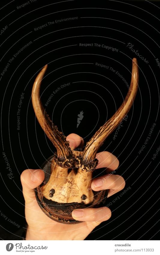 deer hand Deer Roe deer Antlers Hand Low-key Fingers Animal Defensive Wood Skeleton 1910 Death shot and killed Old To hold on clench Human being Murder