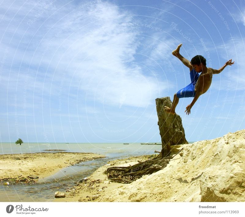 one of a hundred Brazil Beach Ocean Palm tree Vacation & Travel Child Joie de vivre (Vitality) Salto Frozen Watercraft Easygoing Air Exuberance Acrobatic