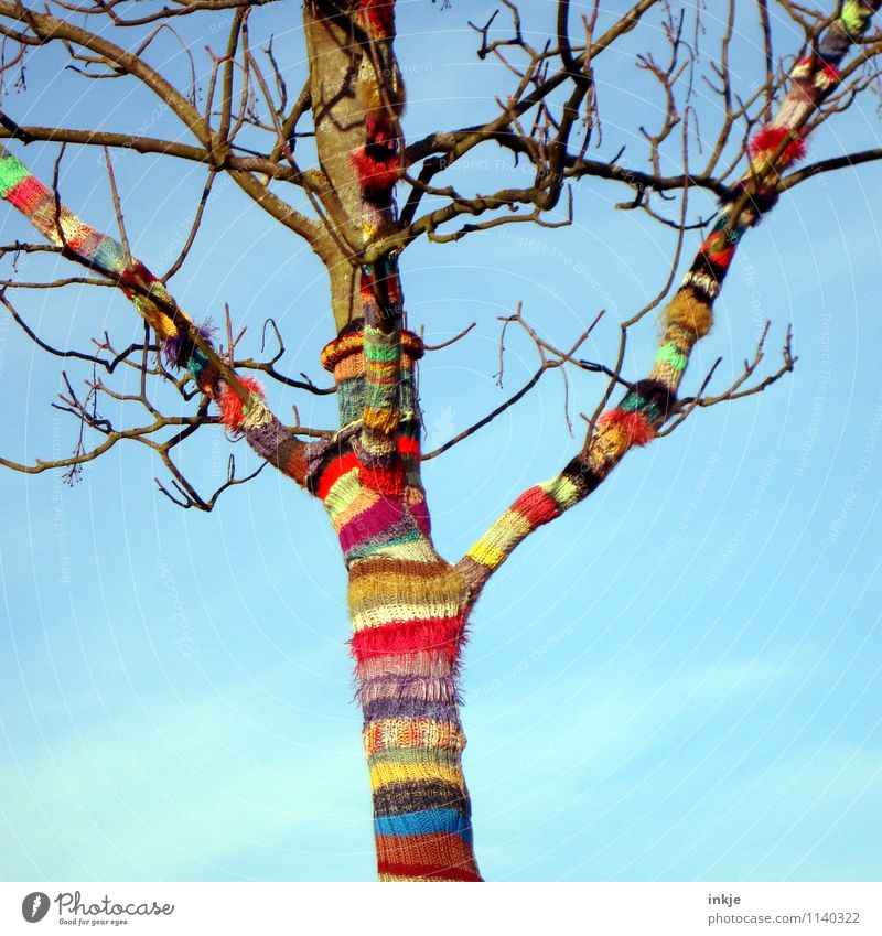 off to spring! Lifestyle Joy Leisure and hobbies Handcrafts Knit Nature Sky Spring Autumn Beautiful weather Tree Wool Line Stripe Spiral Striped Happiness