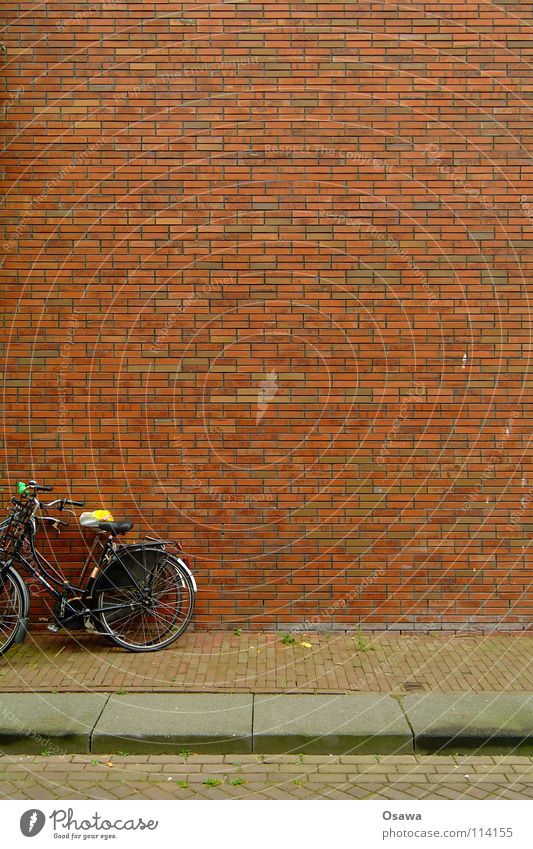 Bicycles with PC Cut Wall (building) Wall (barrier) House (Residential Structure) Building Seam Grid Structures and shapes Brick Sidewalk Transport Stone Lean