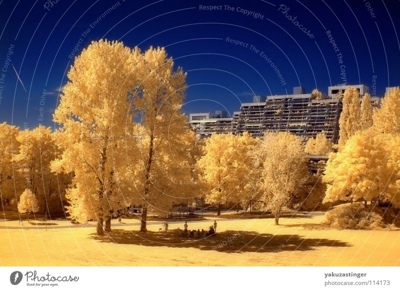 Olympic Village 2 Yellow Olympic village Summer Tree Concrete Facade Infrared Infrared color Long exposure Surrealism Blue Sky channel shifting