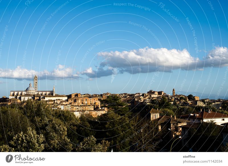 Around the World: Siena Beautiful weather Tourism Tuscany Italy Dome Hill Clouds Spring Dusk Copy Space top